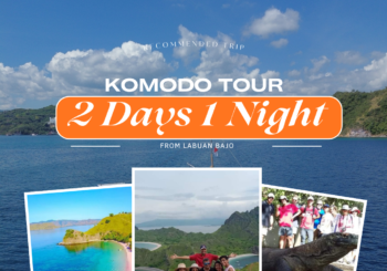Komodo Tour 2 Days 1 Night