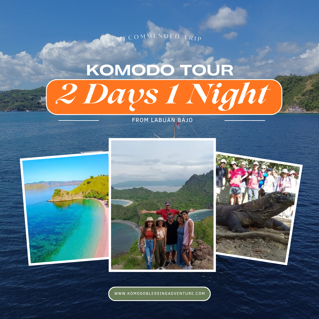 Komodo Tour 2 Days 1 Night
