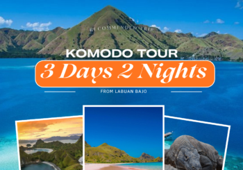 Komodo Tour 3 Days 2 Nights