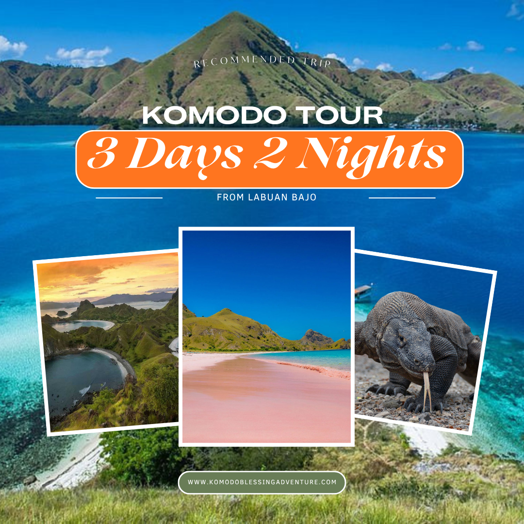 Komodo Tour 3 Days 2 Nights