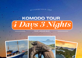 Komodo Tour 4 Days 3 Nights