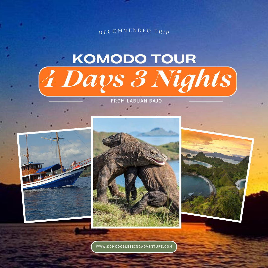 Komodo Tour 4 Days 3 Nights