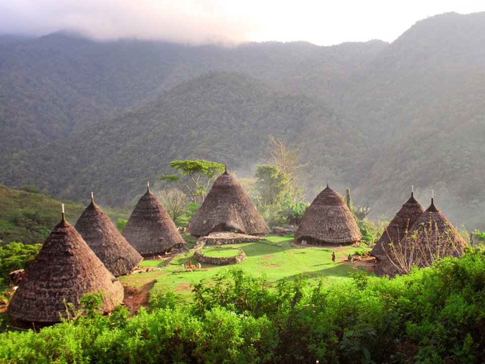 Komodo Flores Tours