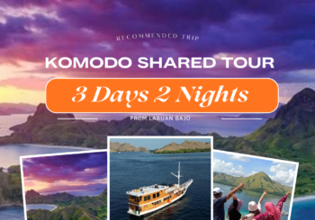 Komodo Open Trip 3D 2N