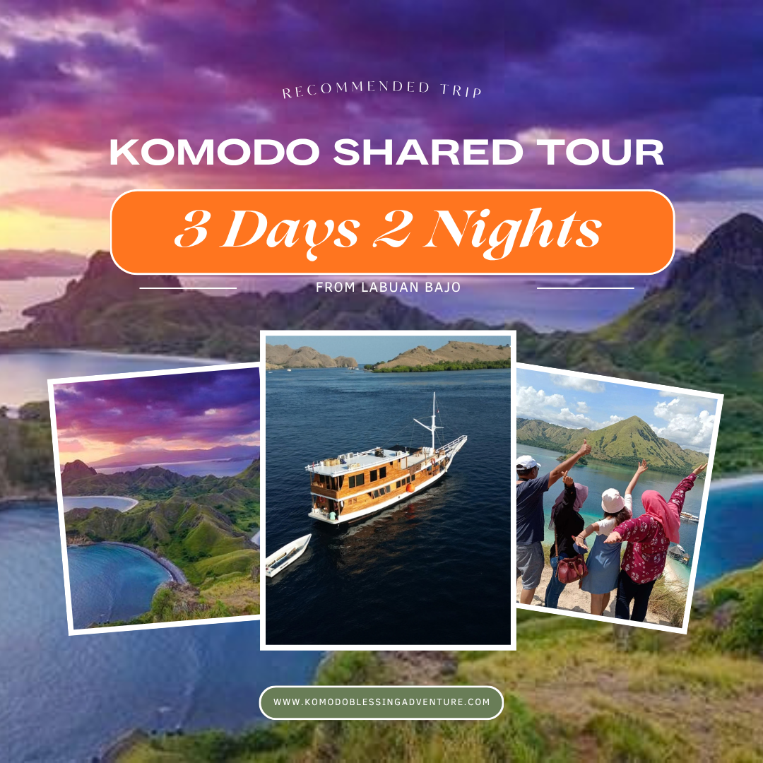 Komodo Open Trip 3D 2N