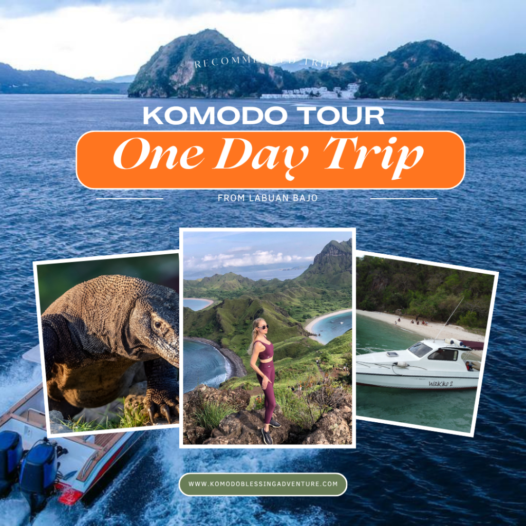 One Day Komodo Tour