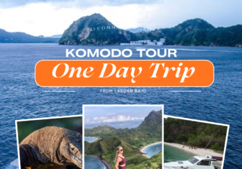 One Day Komodo Tour