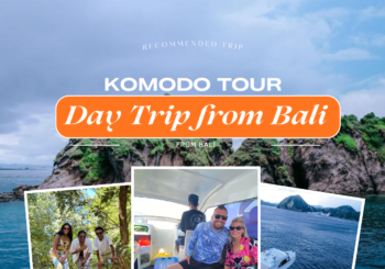 One Day Komodo Trip From Bali