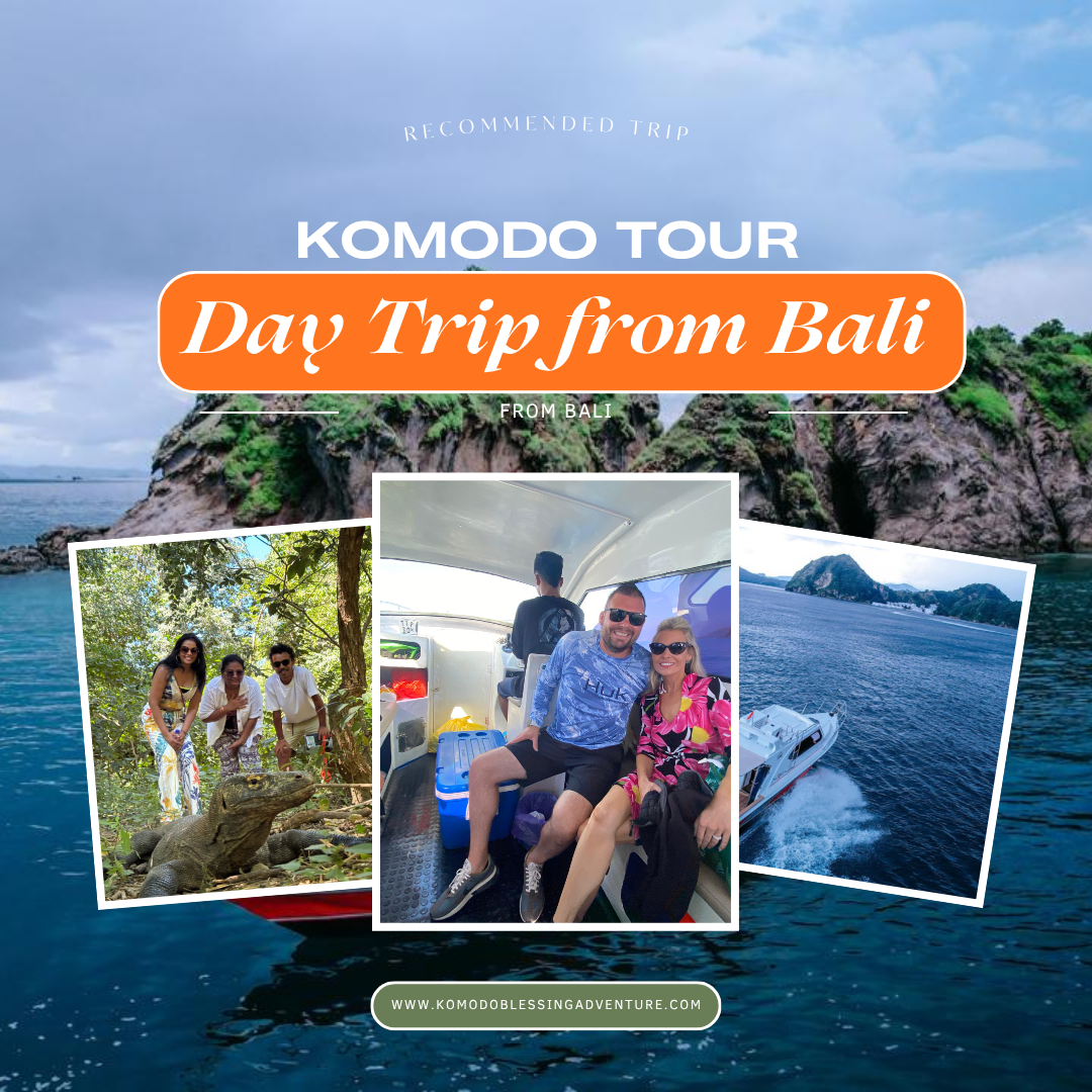 One Day Komodo Trip From Bali