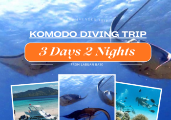 Komodo Diving Trip 3D2N