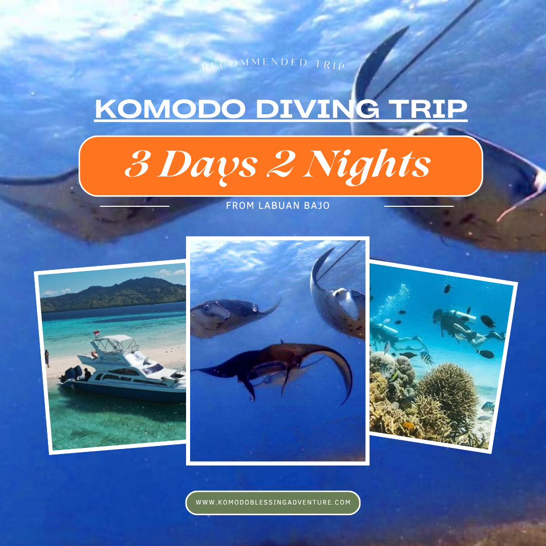 Komodo Diving Trip 3D2N