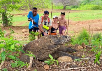 One Day Komodo Trip From Bali