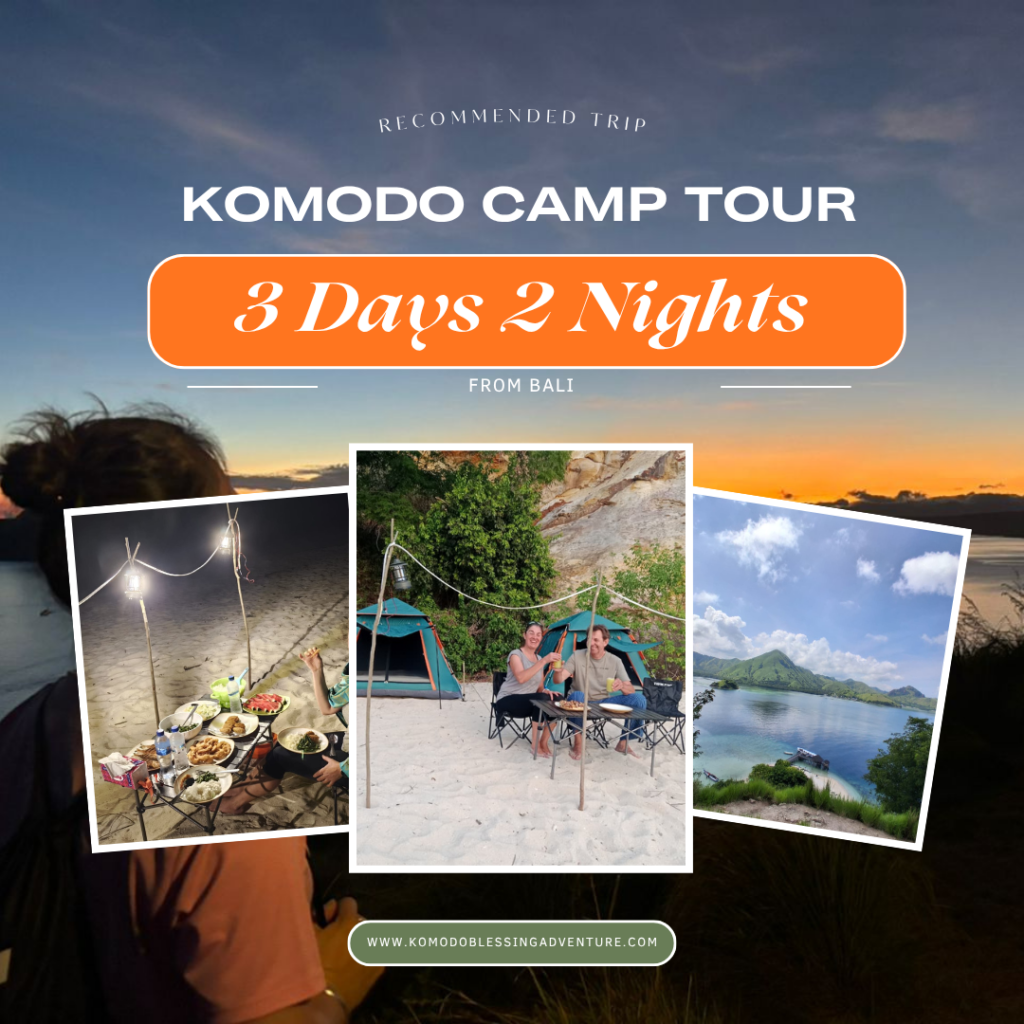 Komodo Camp Tour 3 Days 2 Nights