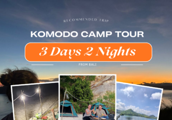 Komodo Camp Tour 3 Days 2 Nights