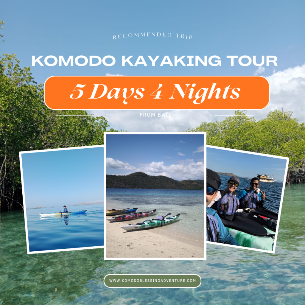 Komodo Kayaking Tour