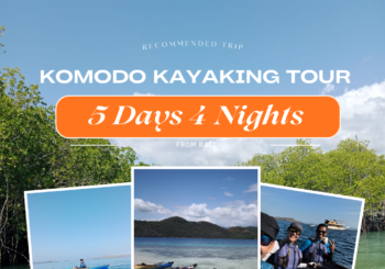 Komodo Kayaking Tour