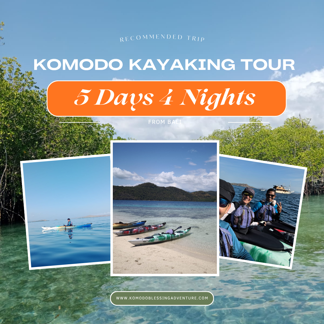 Komodo Kayaking Tour